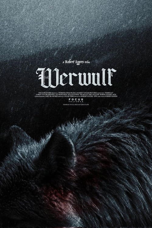A dark, moody poster for Werwulf shows the back and head of a black wolf with wet fur. The movie title appears in large gothic text above the wolf, evoking intrigue and suspense, while additional credits and a subtle IPTV Latvia logo appear in small type below.